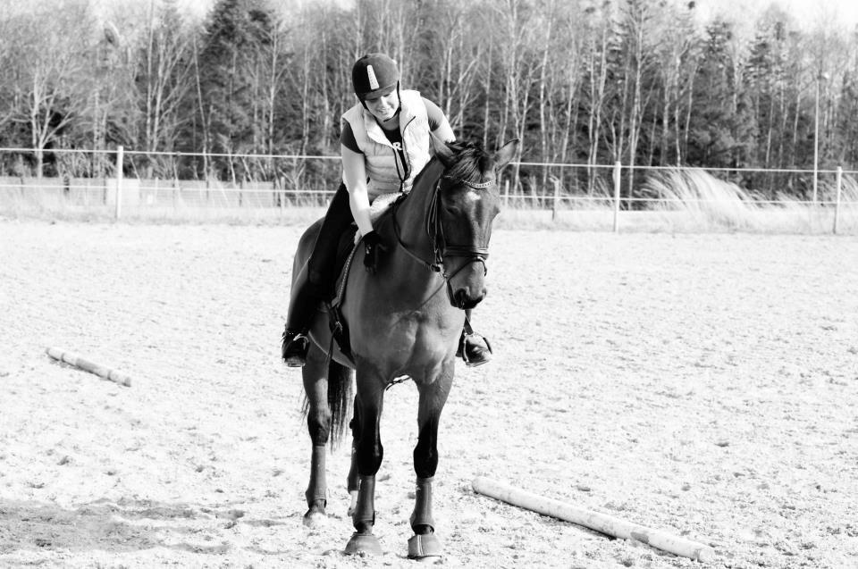 Oldenborg Vladimir - Genoptræning efter sene skade. 2013 billede 3