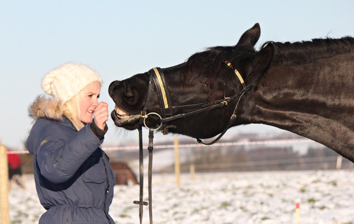 Frieser Zafir * Den bedste*<3 - Smil mor..:D billede 31