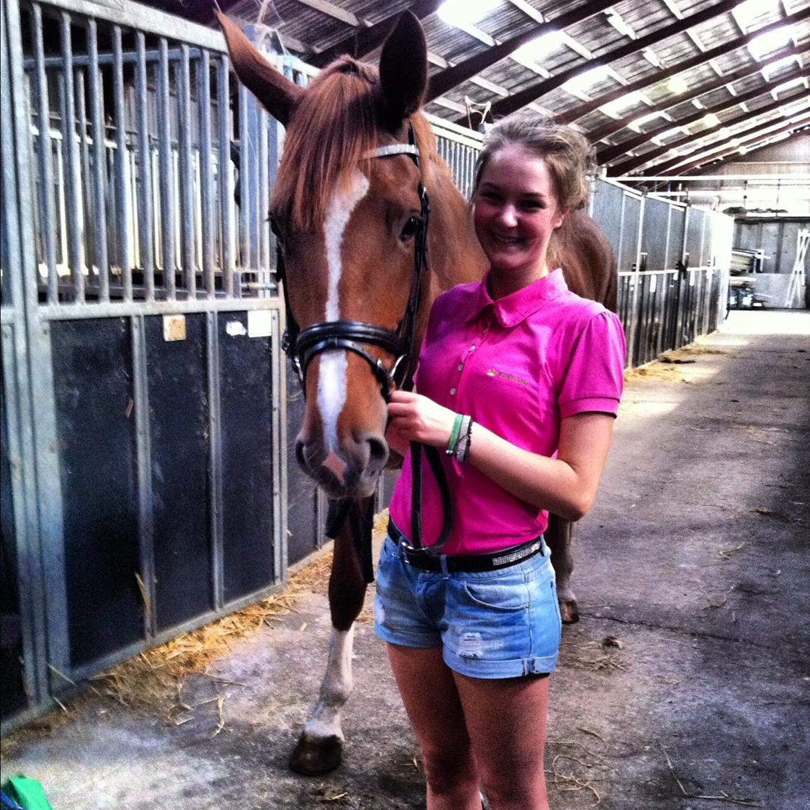 Dansk Varmblod Virgin´s Salsa - Stationsafprøvningen billede 18