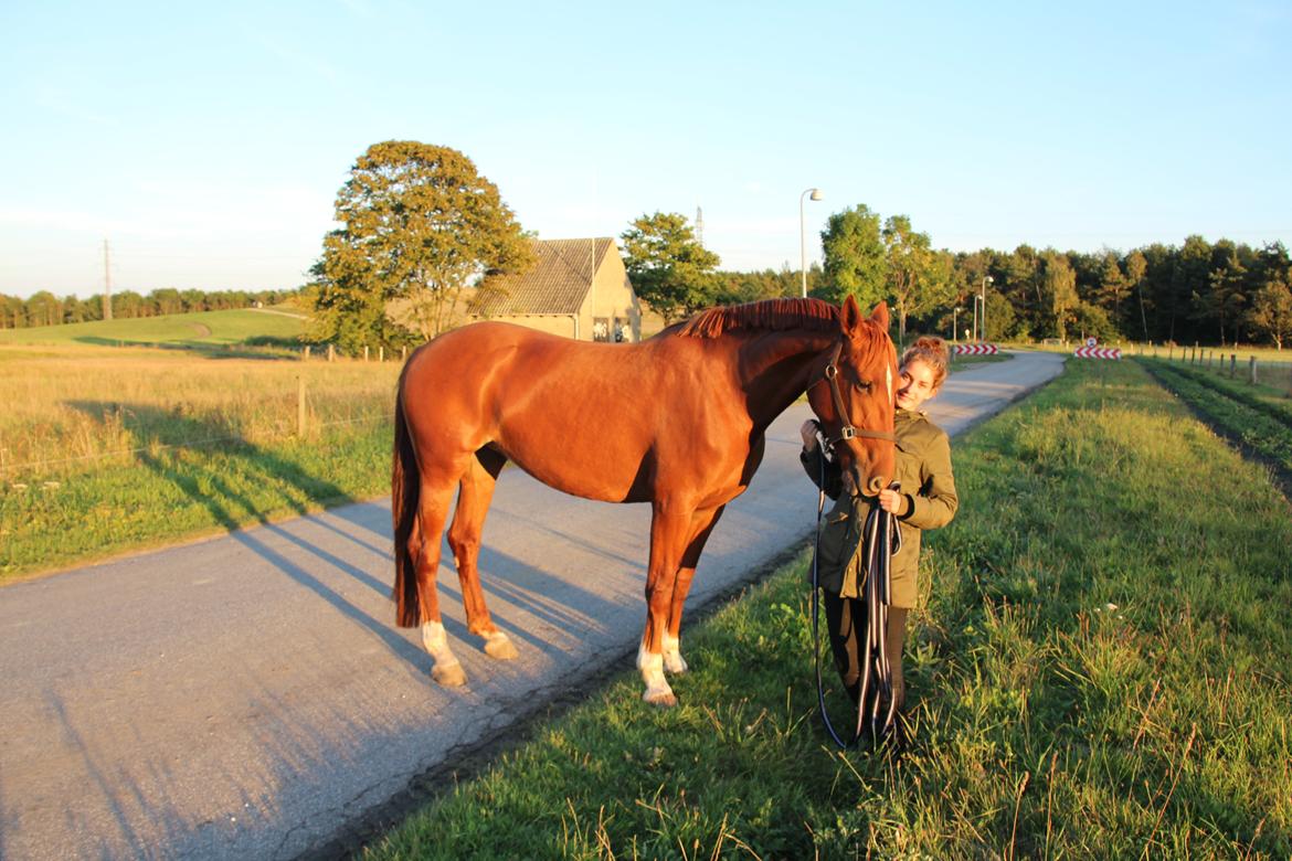 Frederiksborg Dior billede 2