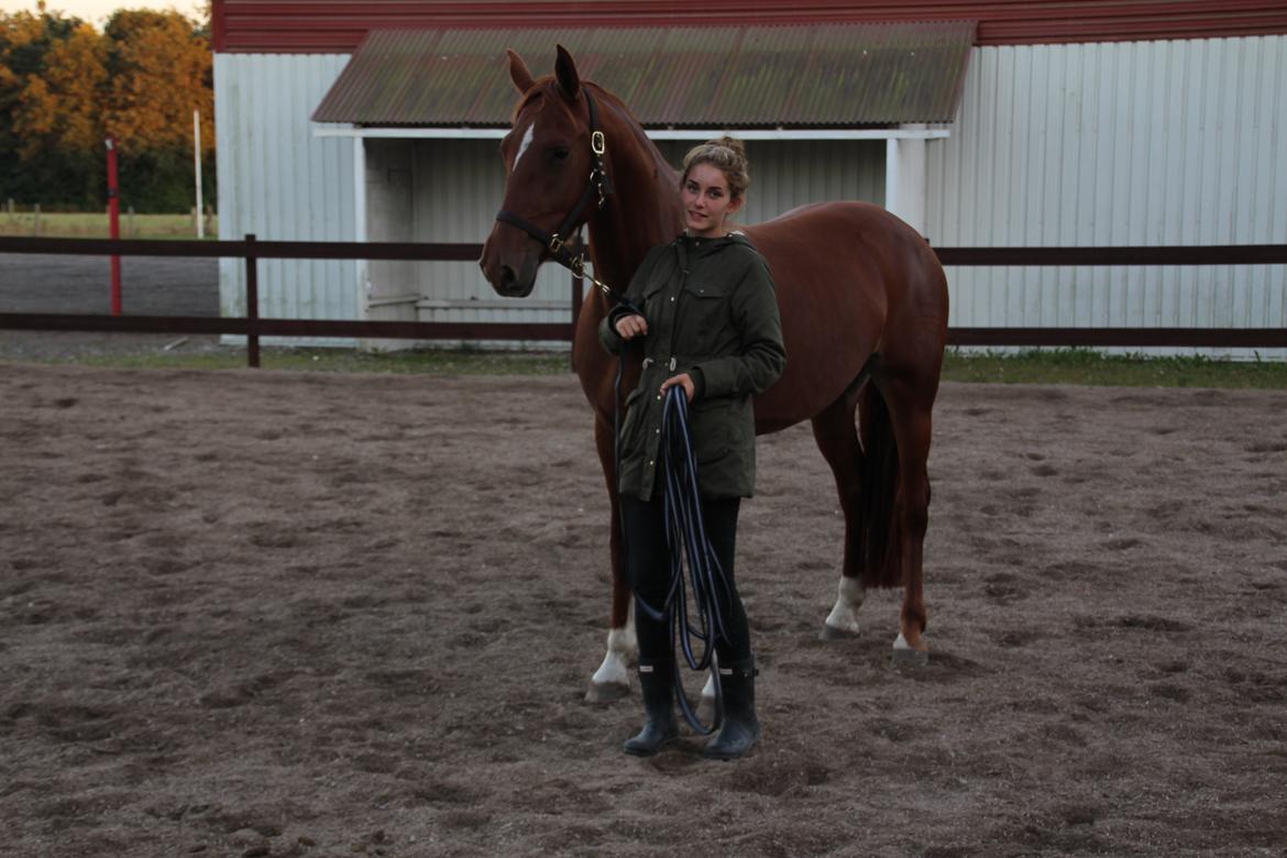 Frederiksborg Dior billede 5