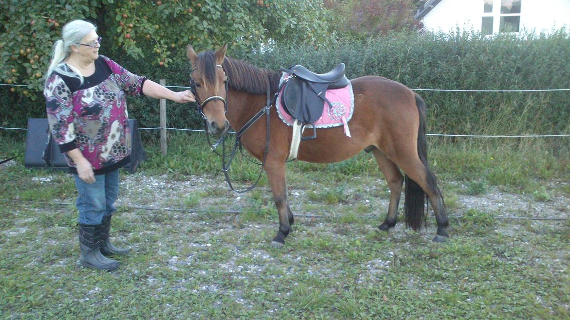 Kaspisk hest Galant - Min mor og Galant primo okt. 2013 billede 2