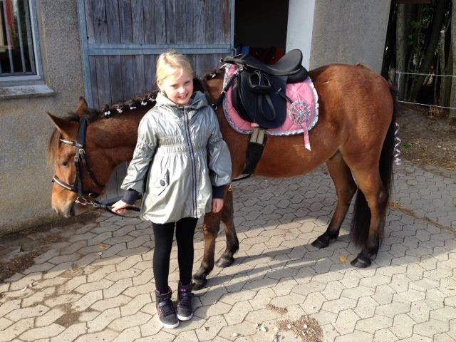 Kaspisk hest Galant - Lærke med Galant den dag hun fik ham i fødselsdagsgave d 3 oktober 2013. billede 1