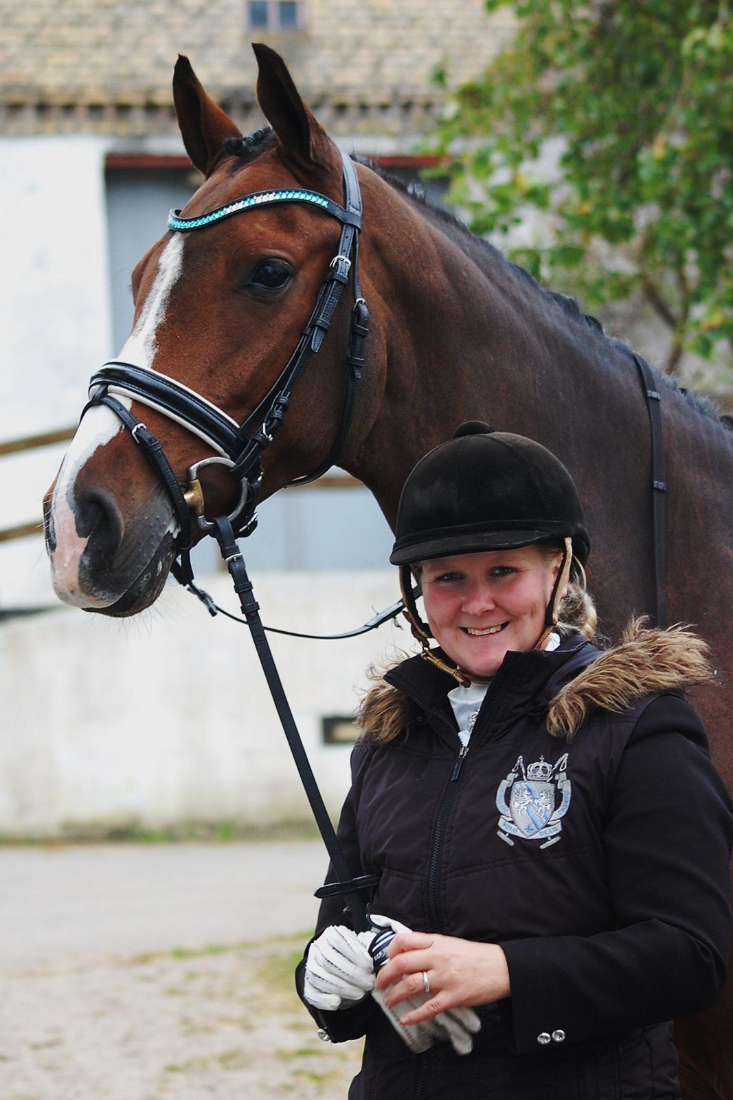 Dansk Varmblod Amour´s Don Cacier billede 16