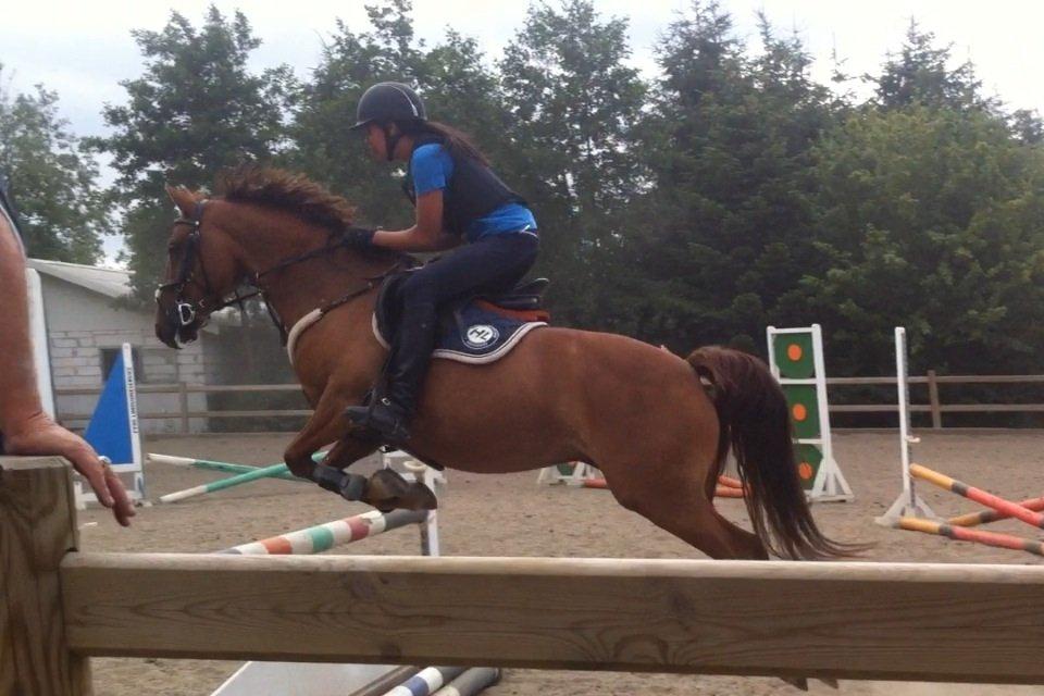 Anden særlig race Milla billede 12