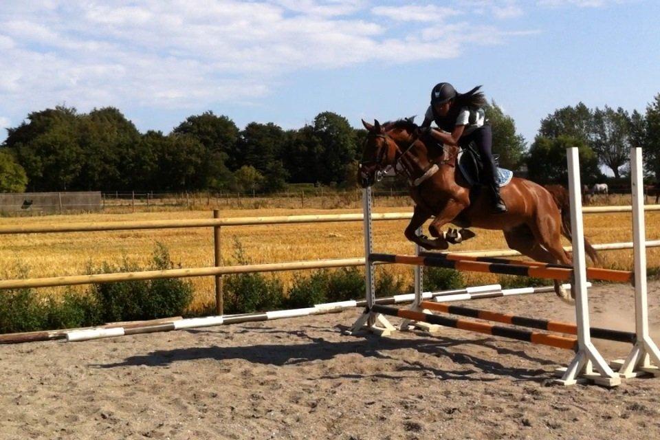 Anden særlig race Milla billede 15