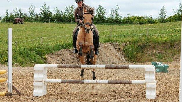 Anden særlig race Giggi billede 14