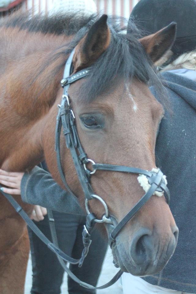 New Forest Annerups Delicious  {min baby} - med sit nye hovedtøj billede 2