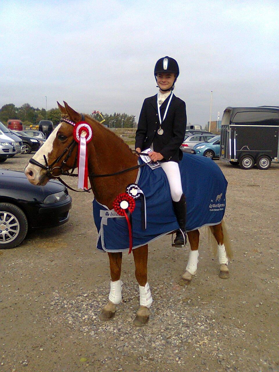 Anden særlig race Sjors - Vi vandt Øresundscuppen dressur 2013, og jeg er super stolt :) billede 1