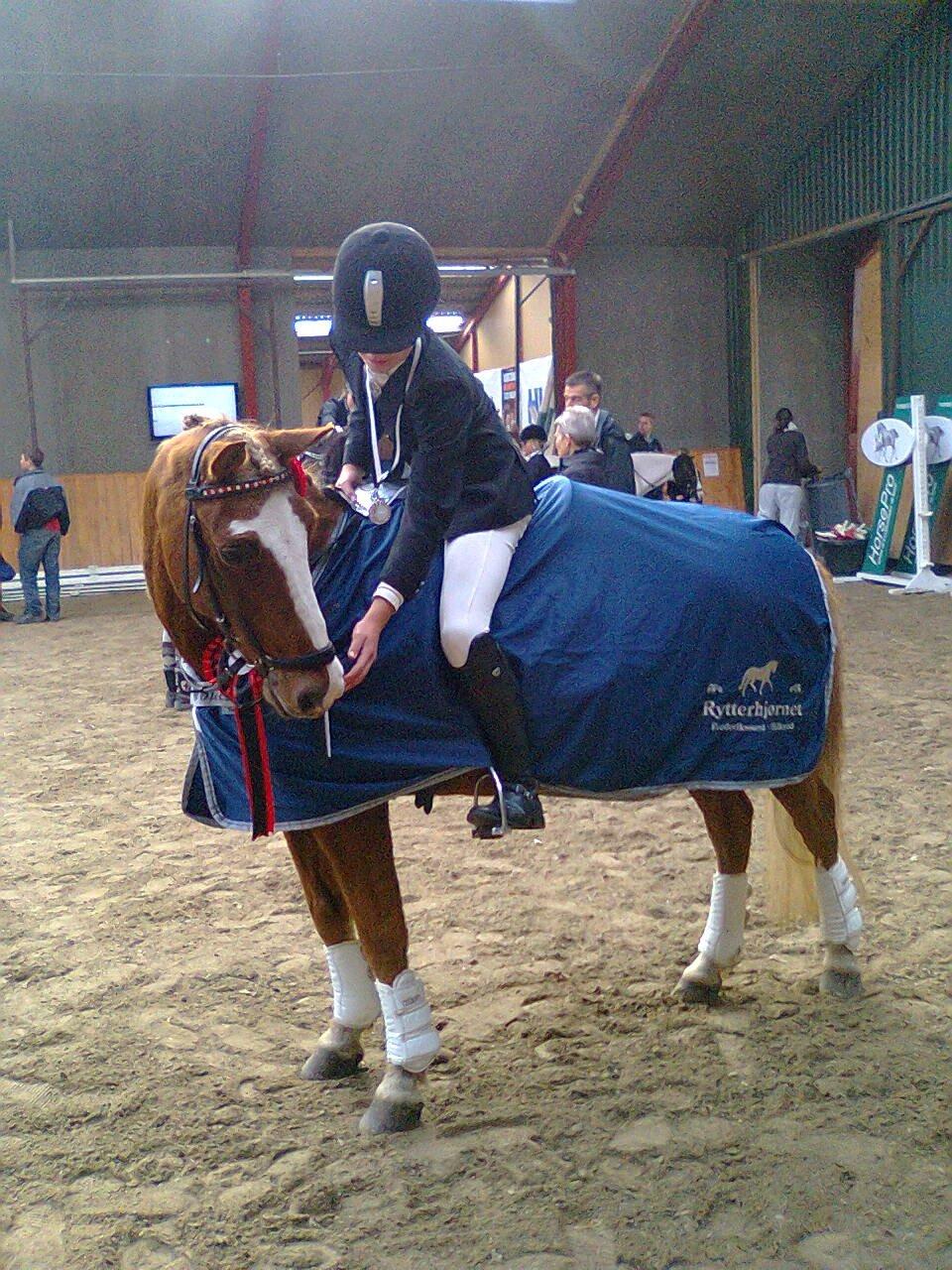 Anden særlig race Sjors - Til Øresundscuppen, han var virkelig dygtig :) billede 2