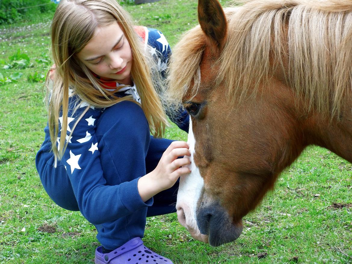 Anden særlig race Sjors - Elsker dig ubeskriveligt højt <3 billede 7