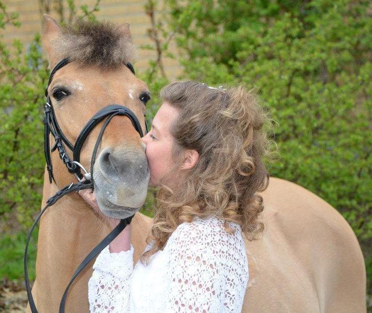 Anden særlig race Giggi billede 17