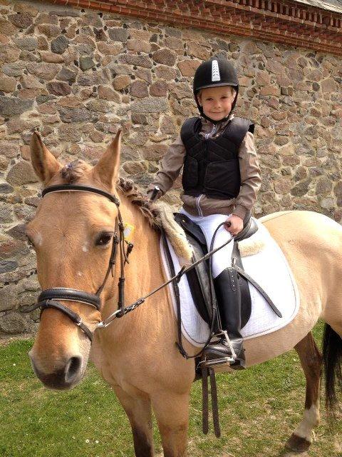 Anden særlig race Giggi billede 19