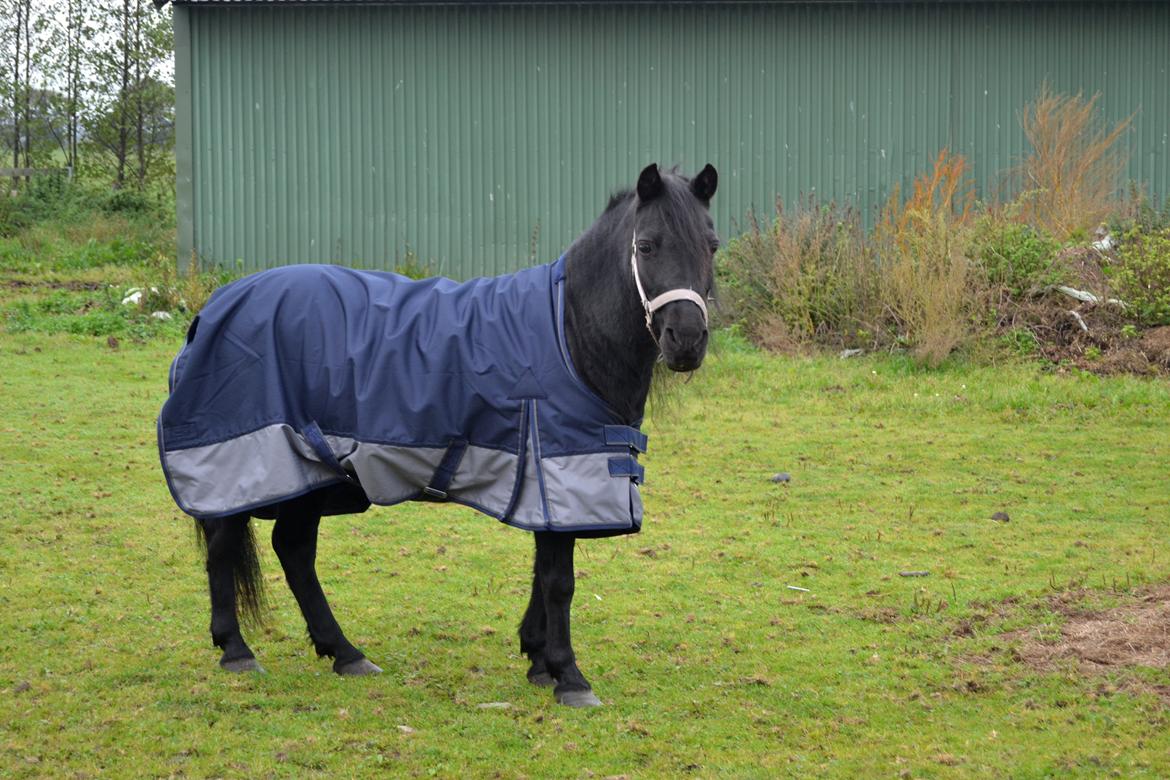 DSP Beauty - Foto: Mig billede 3