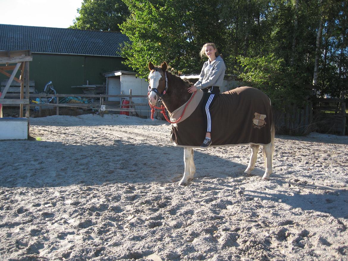 Anden særlig race Solvanggaards Snoopy - Velkommen til Snoopys profil! <3 billede 1