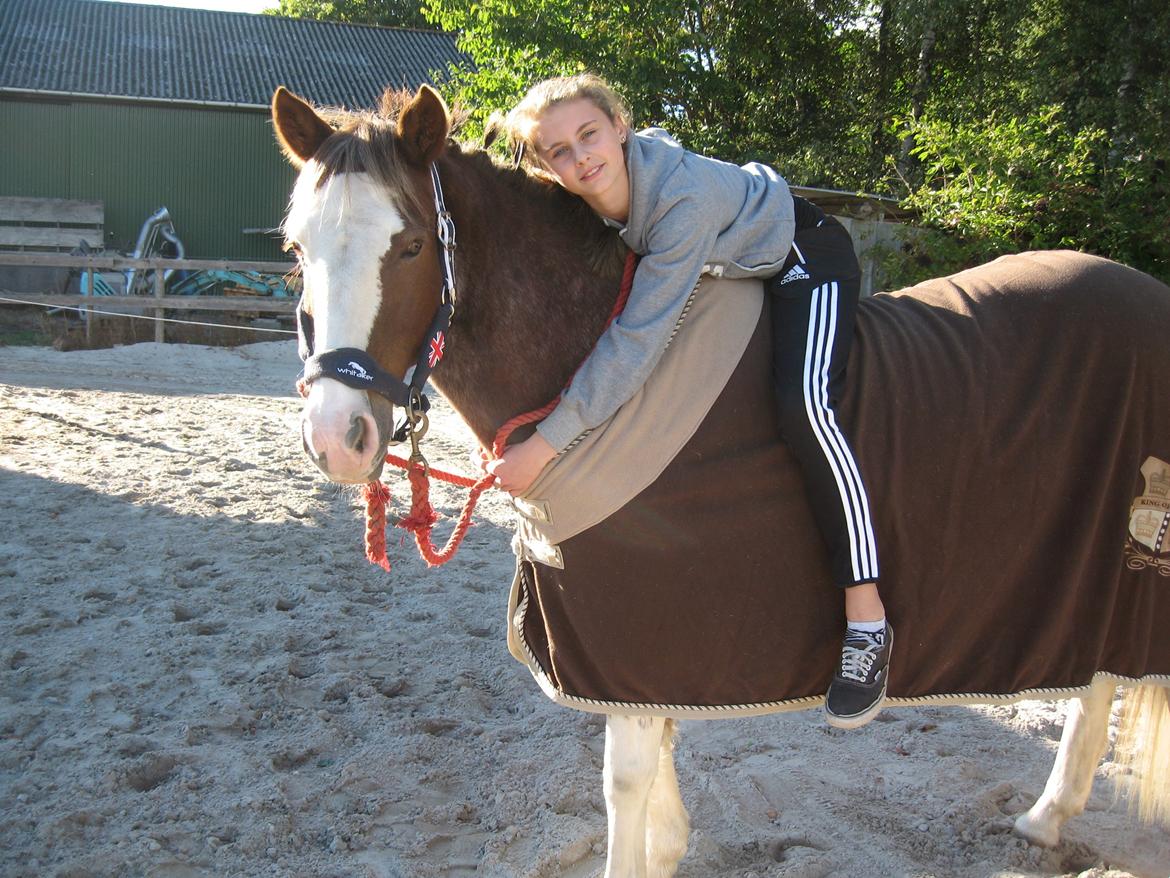 Anden særlig race Solvanggaards Snoopy - Snoopy min elskede pony! :-*
 billede 3