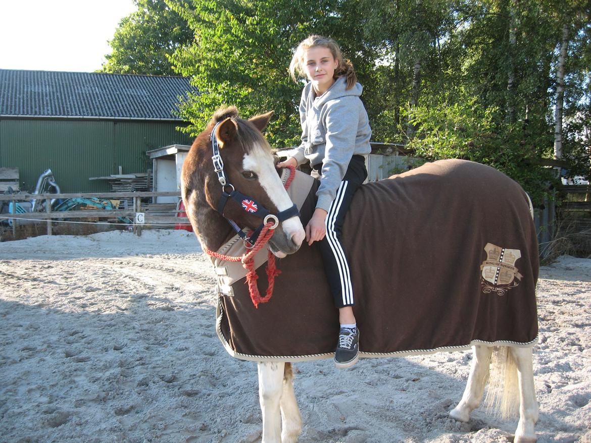 Anden særlig race Solvanggaards Snoopy - Min prinsesse! billede 4