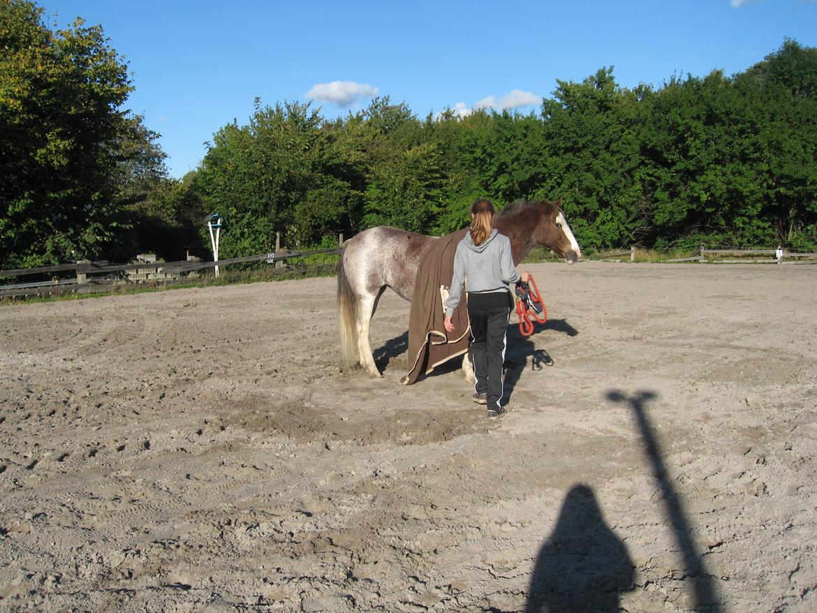 Anden særlig race Solvanggaards Snoopy - <3 billede 11