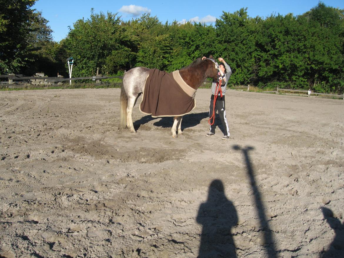 Anden særlig race Solvanggaards Snoopy - Og så på med grimen. :-) billede 12