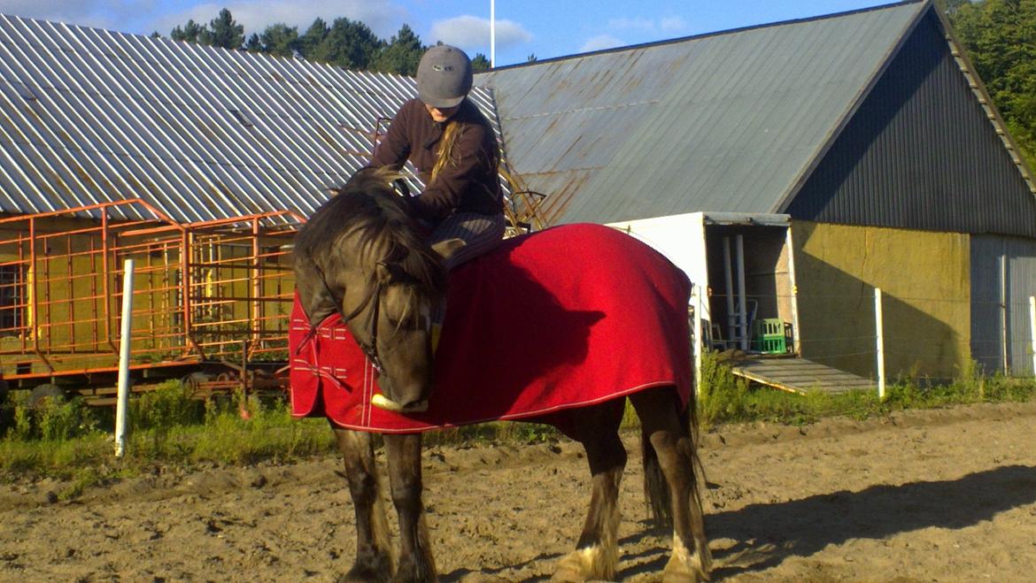 Anden særlig race Mammut - Mammut har en udpræget støvlefetich
jo mere farvestrålende des bedre. Det var en af grundene til at han ikke ejnede sig som handicap hest billede 5