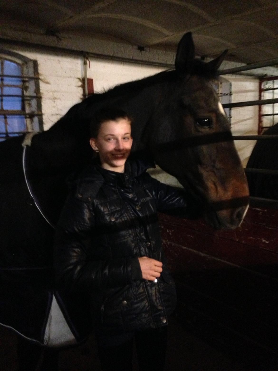 Irsk Sportspony Ringwood Plutoe billede 6