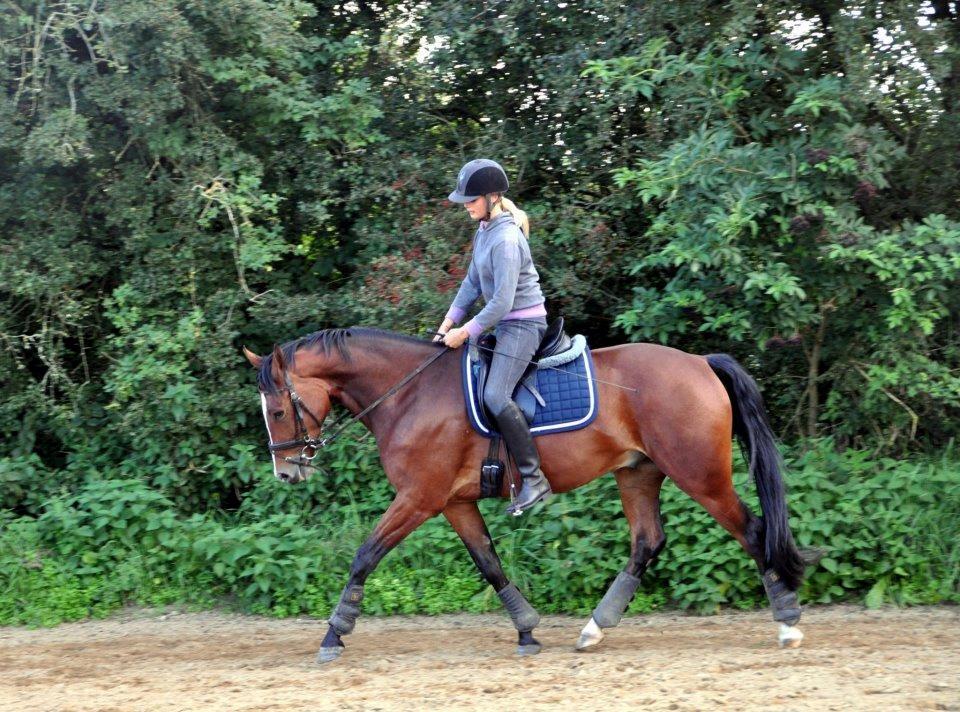 Oldenborg Narnio Roi billede 23