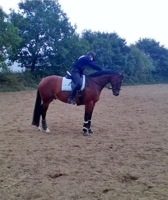 Oldenborg Narnio Roi billede 22