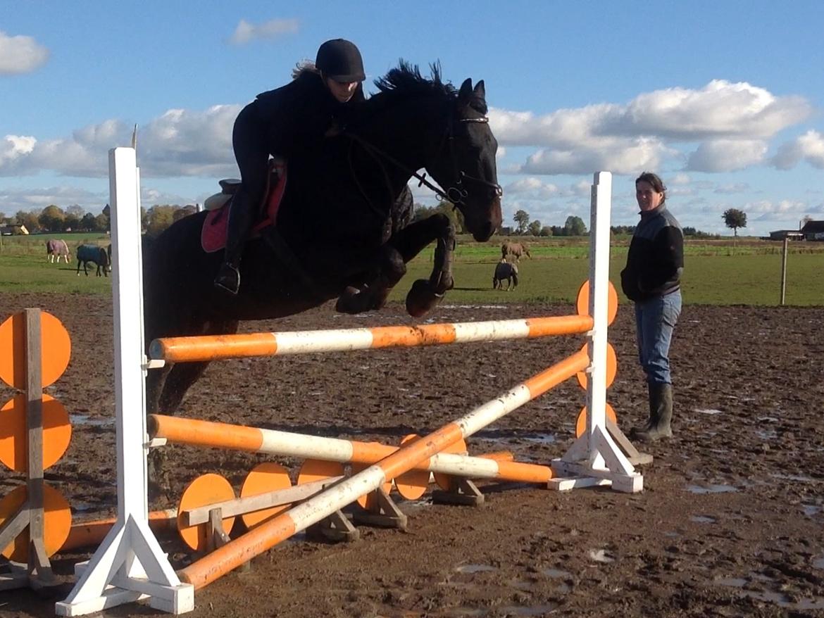 Anden særlig race Sweet Alexander billede 18