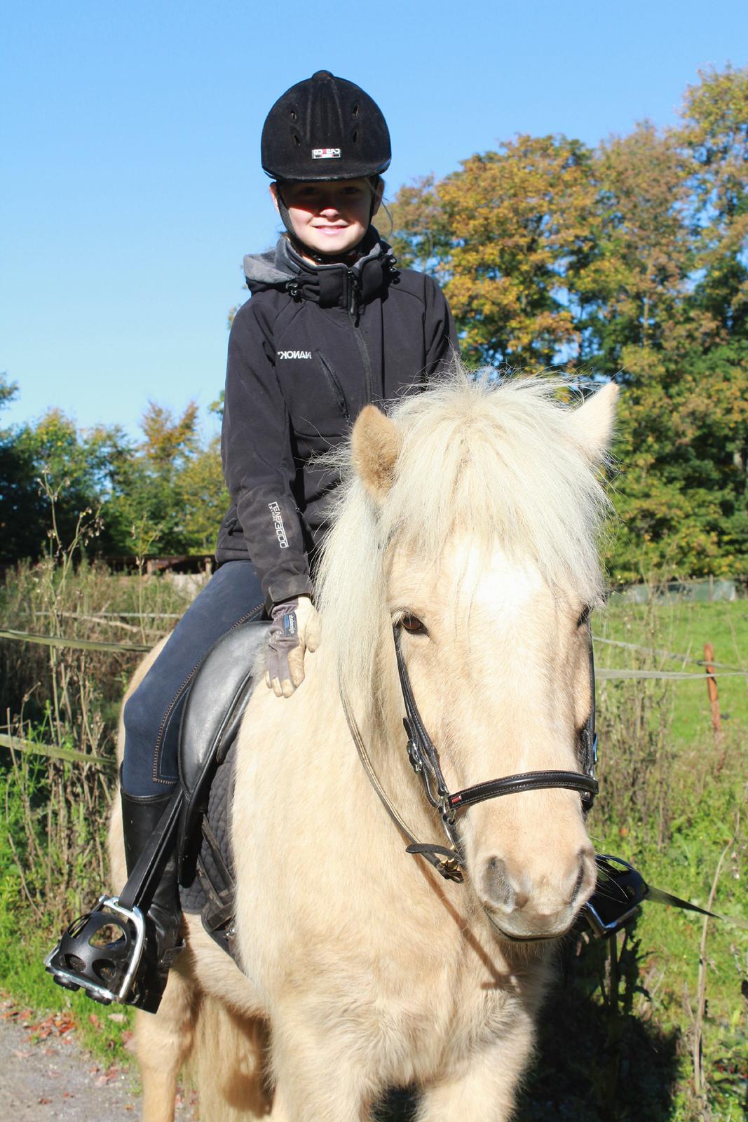 Islænder Sólfagur fra Elkjær (Christian) - Smukke Christian og Line. billede 4