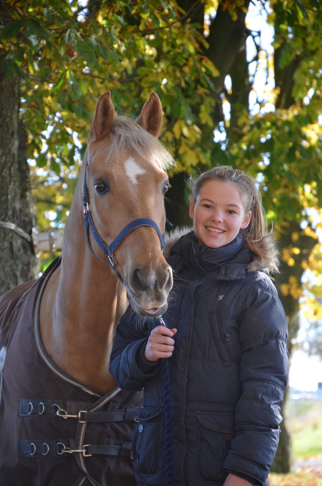 Hollandsk Sportspony Golden Star * B-pony* - Det er dig der for det rigtige smil frem! billede 13