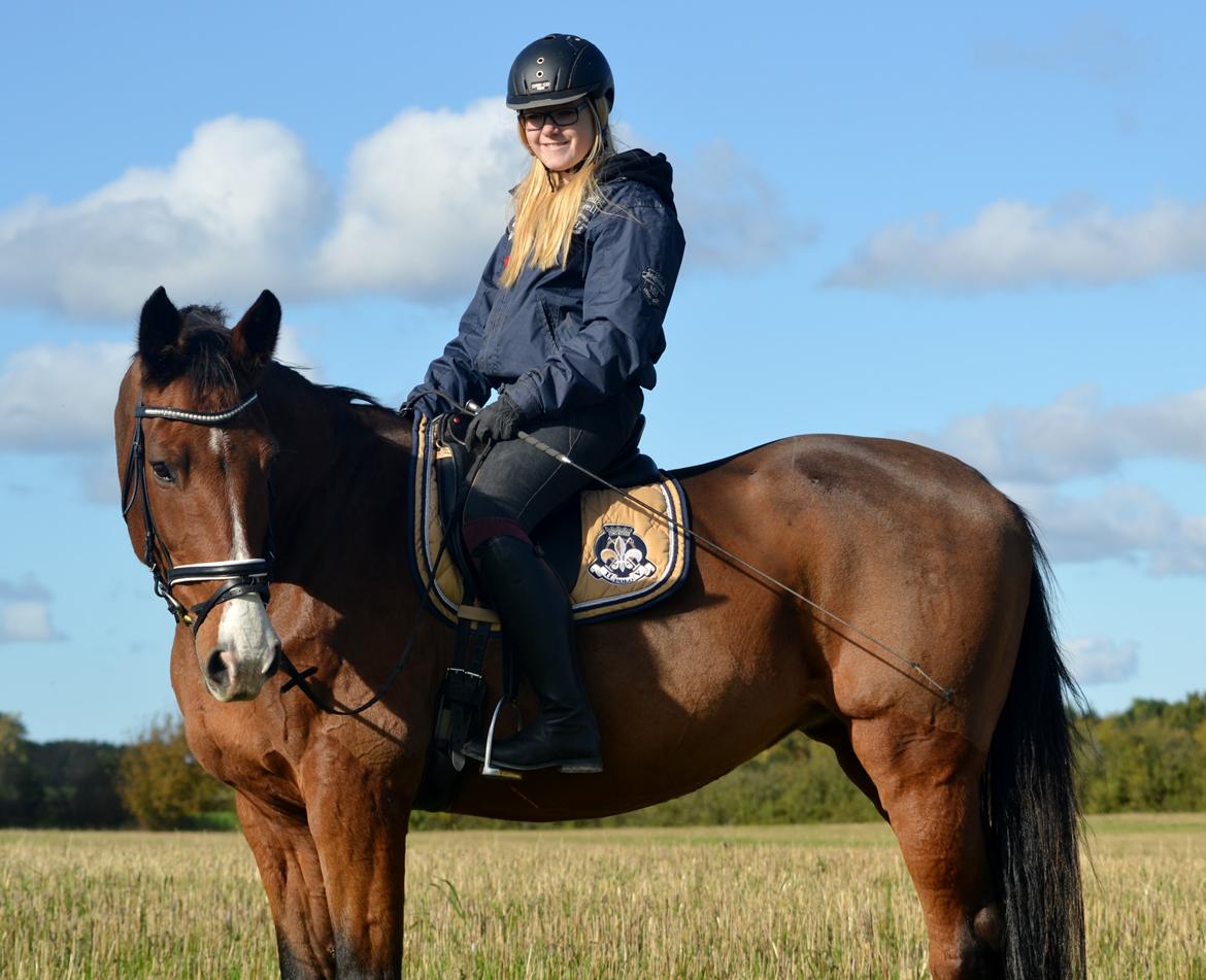 Holstener Costa Rica 32 billede 19