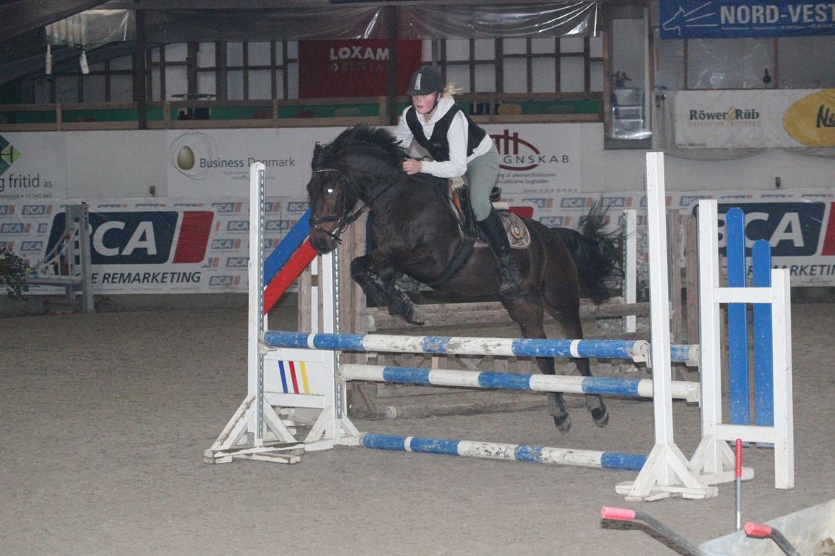 New Forest Elmholts Granat billede 9