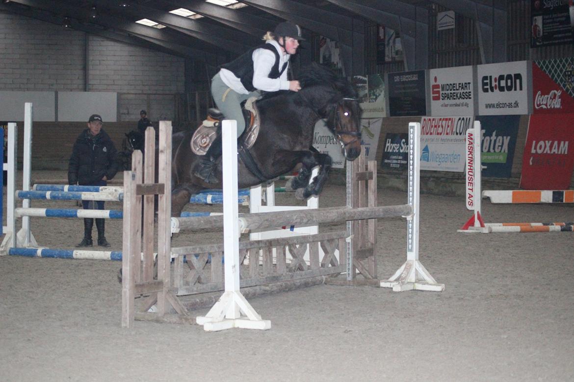 New Forest Elmholts Granat billede 16