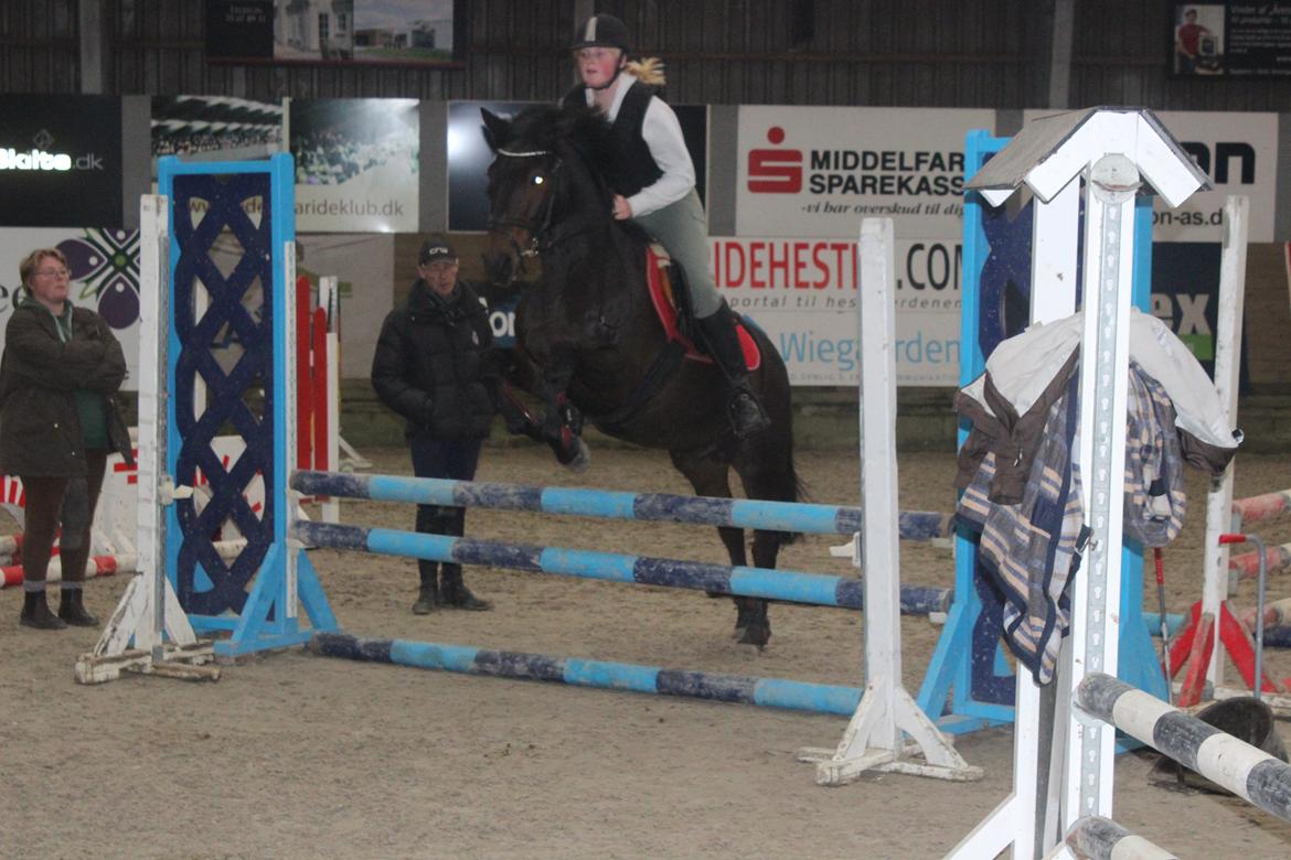 New Forest Elmholts Granat billede 15