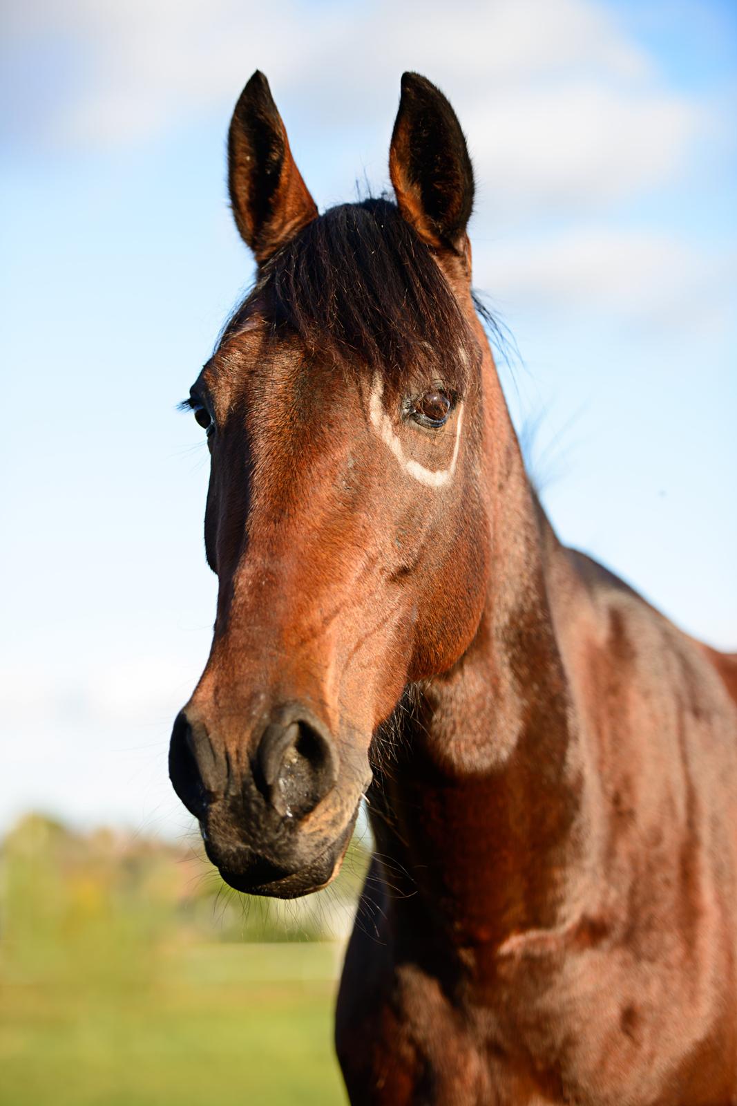 Traver Ofero Langdel *Øffe* - Velkommen til Oferos profil. 
Vi er glade for at du vil kigge med. billede 1