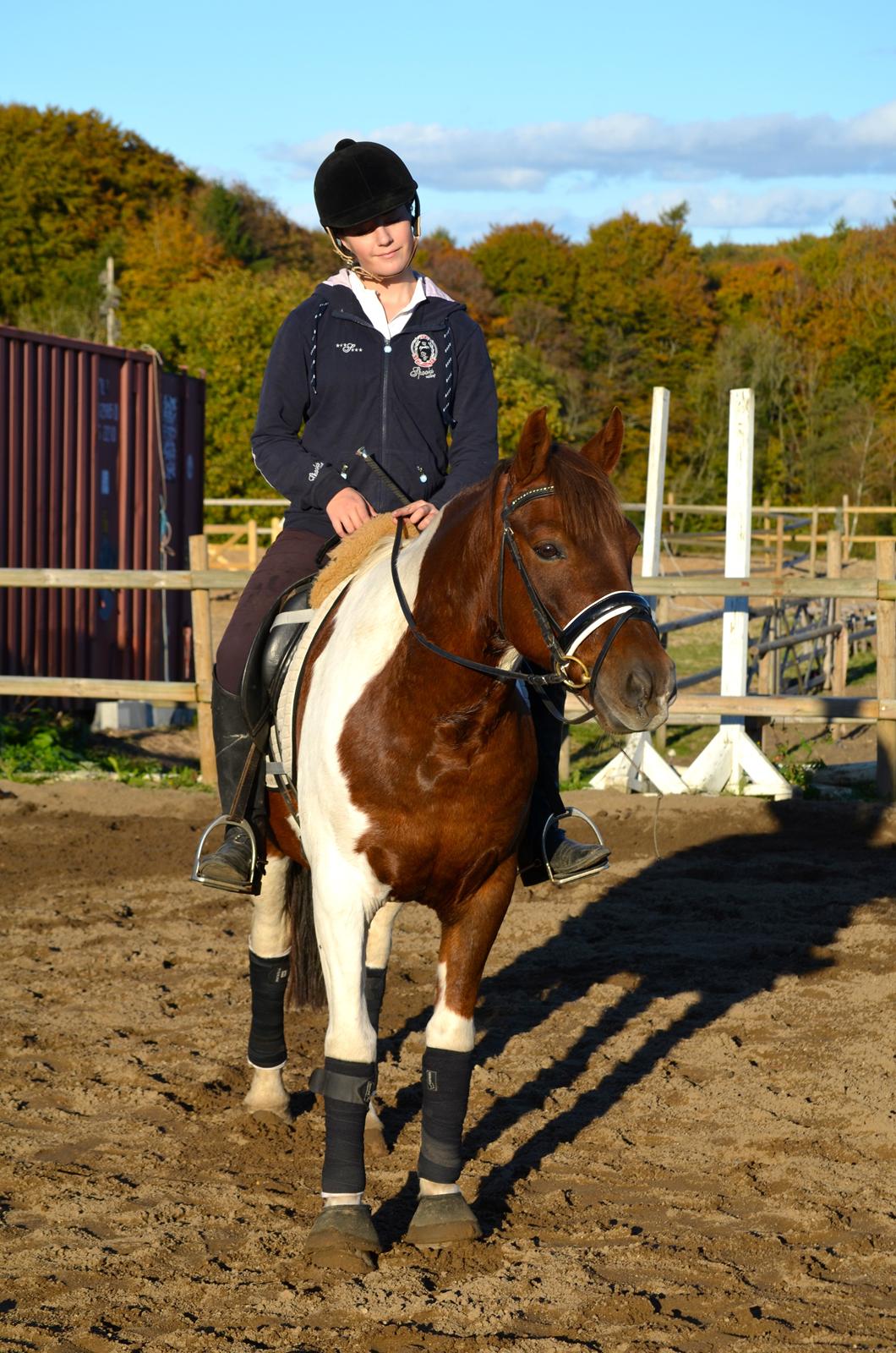 Anden særlig race Paw *Palle* billede 1