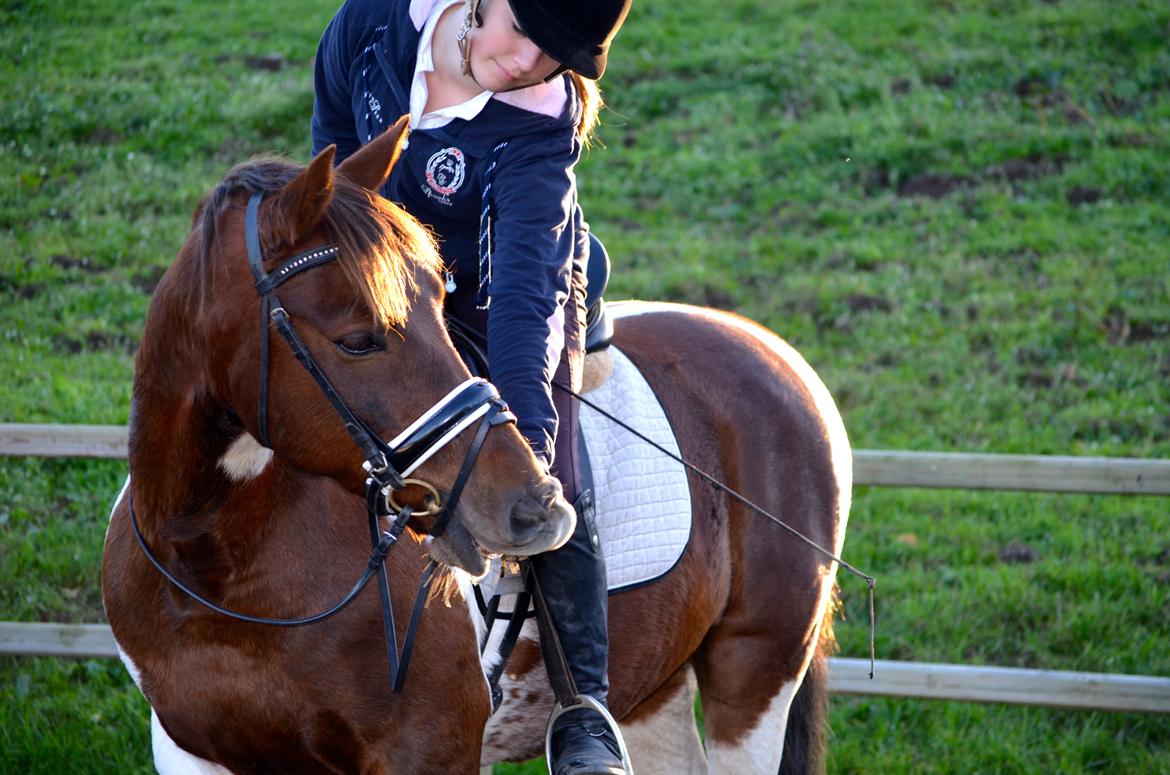 Anden særlig race Paw *Palle* - Tak fordi i kiggede med :-) billede 16