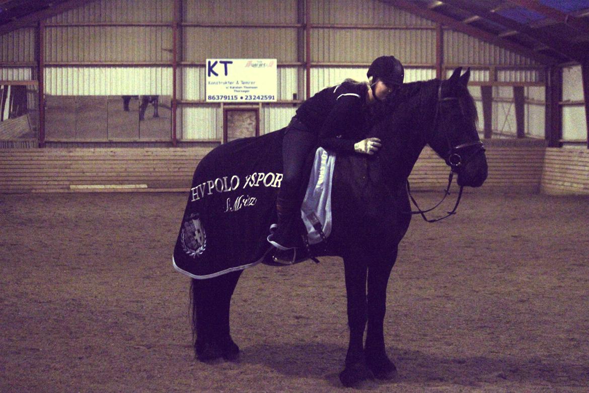 Frieser ~ Willov Terplinggaard ~ billede 15