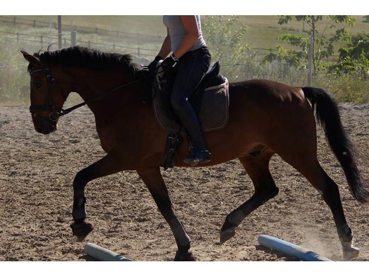 {{currentPhoto.altText}} billede {{currentPhoto.number}}