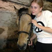 Anden særlig race Buster <3