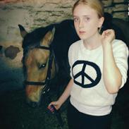 Anden særlig race Buster <3