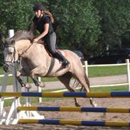 Connemara Moneyveen Smokie