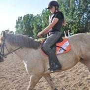 Connemara Moneyveen Smokie