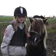 Anden særlig race Skipper<3