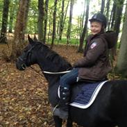 Anden særlig race Miss wendy