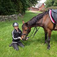 Anden særlig race Nina