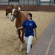 Frederiksborg Stald Caka's Sanina