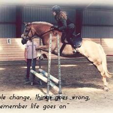 Haflinger sunshine *my soulmate*<3