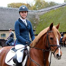 DSP Lintrupgaard Cavito