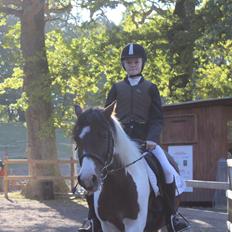 Anden særlig race Jack (savnet)